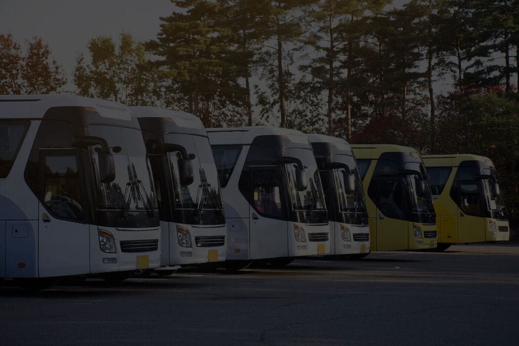 naples Charter Bus Fleet